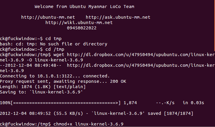 kernel 3.6.9
